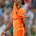 fulham-make-move-for-in-demand-west-ham-winger-crysencio-summerville-vN3lK2JW.webp