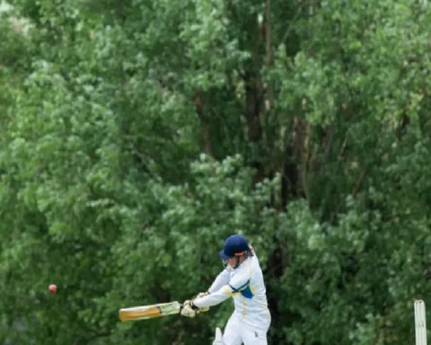 the-hotspot-why-willows-put-the-rest-in-the-shade-when-cricket-goes-nh2Wtwpk.webp