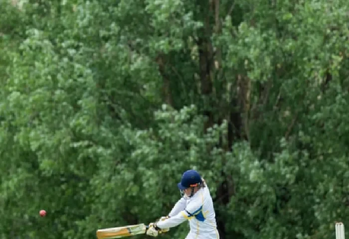 the-hotspot-why-willows-put-the-rest-in-the-shade-when-cricket-goes-nh2Wtwpk.webp