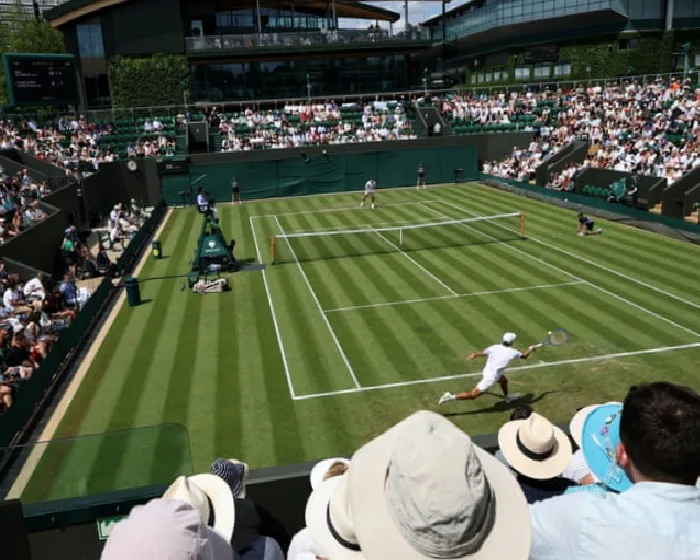 trout-sushi-for-breakfast-the-surprising-diets-of-wimbledon-stars-ccdvtZ7O.webp
